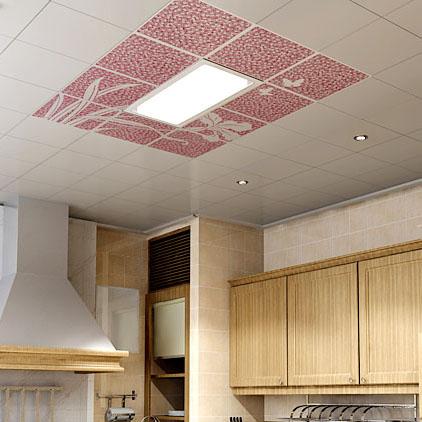 鋁扣板輕鋼材料-防火輕鋼鋁扣板-輕鋼鋁扣板吊頂與