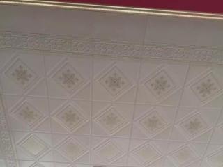 廁所集成吊頂開關-5個平方的廁所吊頂多少錢