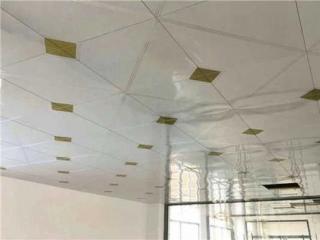 哪一個廠家的鋁扣板比較好-鋁扣板和鋁格柵吊頂那個比較好