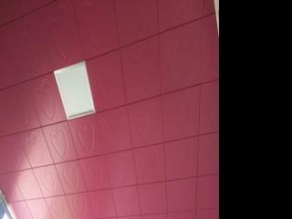 鋁扣板吊頂什么價-0.75