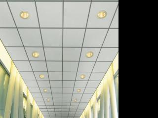 鋁質天花鋁扣板-鋁質天花板那種好