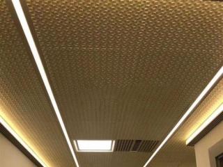 溫州鋁扣板廠家-廣西柳州醫藥與佛山美利龍鋁扣板工程