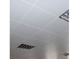 學校食堂吊頂材料選什么？這些材料就可以參考下